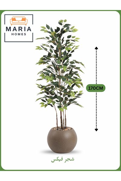 MARIA HOMES Artificial Ficus Tree 170 cm – Indoor Decorative Plant with Brown Pot