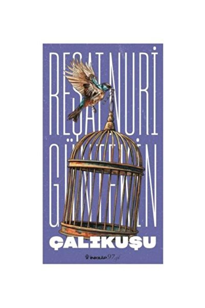 İnkılap Kitabevi Çalıkuşu - TAM METİN (Yeni Kapak)