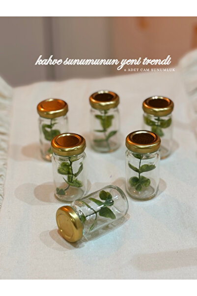 Milea Home Dekor Yeşilin Hakikati Lady Serisi Kahve Yanı Nişan Parti Organizasyon Sunumluğu 6 adet