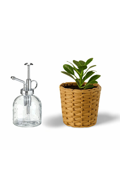 IKEA Cam Sprey Şişe ve Su Sümbülü Rattan Saksı Seti – Bitki Bakım Sulama, Dekoratif Doğal Saksı Ev Bahçe