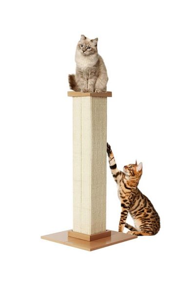 TRADE BAY Cat Scratching Post, 80cm Tall