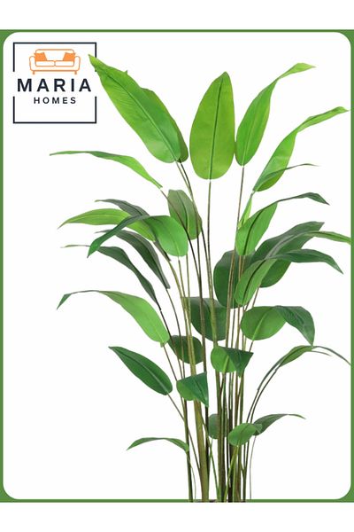 MARIA HOMES Artificial Bird of Paradise Tree 190 cm – Tall Indoor Plant with White Pot