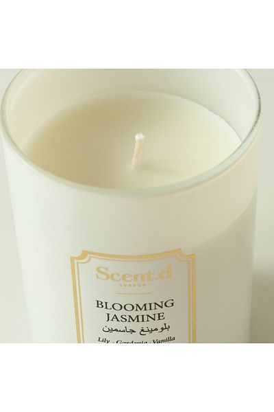 Scent.d London Scent.d Blooming Jasmine Scented Jar Candle - 226 gms
