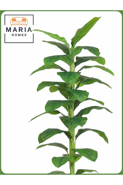 MARIA HOMES Artificial Banana Leaf Tree 200 cm – Tall Indoor Plant with Light Gray Pot