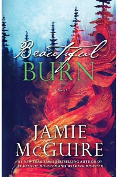 Turtleback Books Beautiful Burn