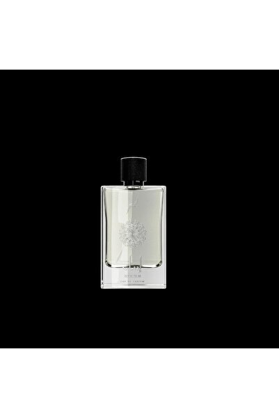 OEM Ozareej Eau de Parfum, Addiction Silver, Unisex, 100 ml