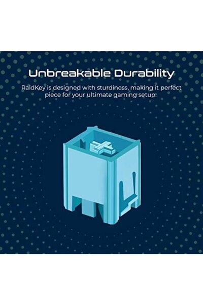 VERTUX Raidkey Gaming Keyboard Mx Cherry Blue