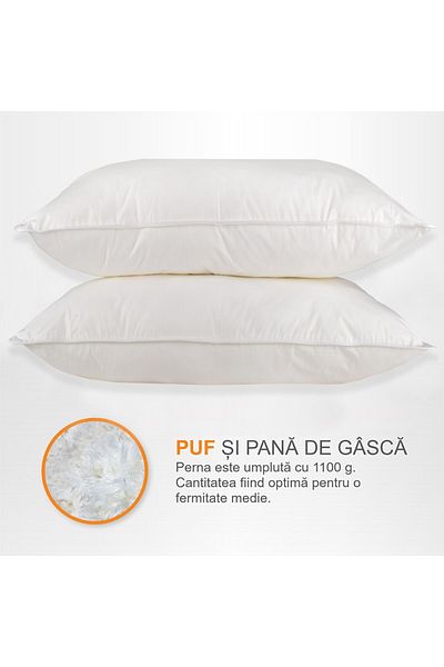 Pernador Set of 2 goose down and feather pillows, 50x70 cm, White