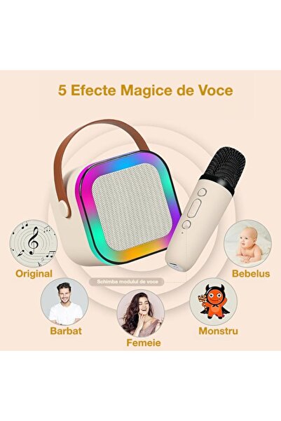 OEM Portable Speaker Set with 2 Microphones, Wireless, Bluetooth V5.3, Karaoke, 5 Voice Modules, Kids an