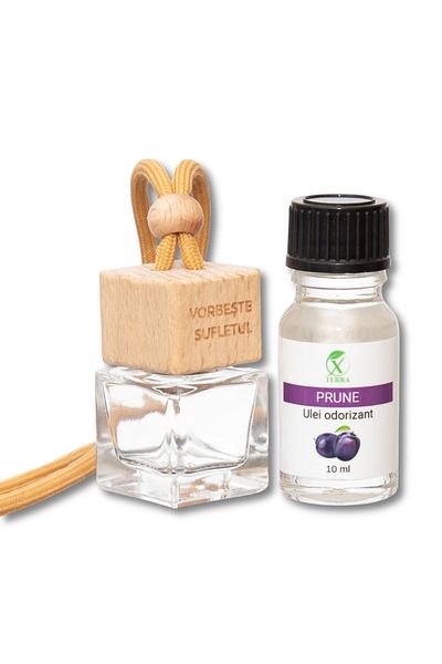 XTERRA | SET OF AROMADIFUSER BOTTLE AND CAR FRAGRANCE OIL WITH PLUM FRAGRANCE | 10 ml