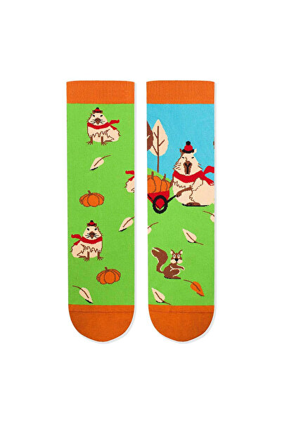 Pirin Hill Sosete bumbac Arty Socks Capybara Verde