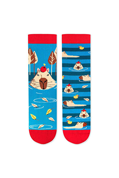 Pirin Hill Sosete bumbac Arty Socks Capybara Albastru