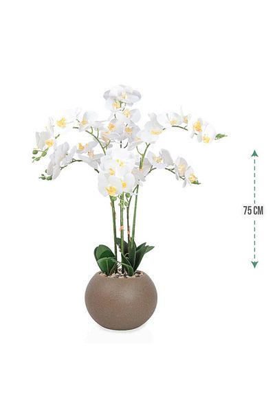 co arma Artificial orchid (2 branches) in a round plastic container