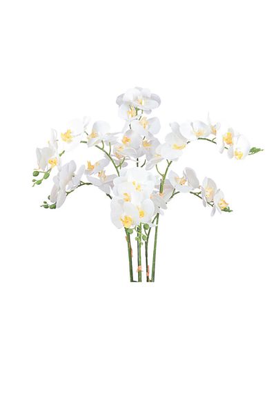 co arma Artificial orchid (2 branches) in a round plastic container