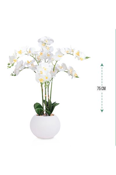 co arma Artificial orchid (2 branches) in a round plastic container