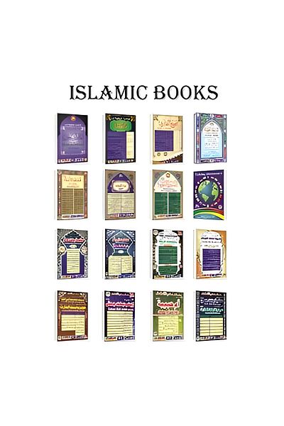 Generic Quran Reading Pen with 16GB Internal Memory, Bluetooth Technology and 16 Multi-Colored Books