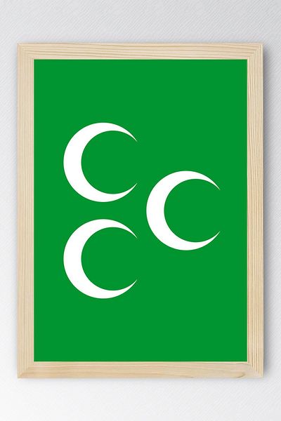Saturn Green Three Crescent Ottoman Shield Framed Painting