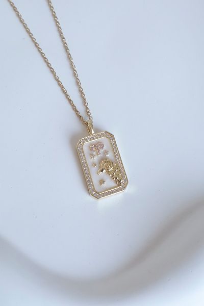 DEMOKAN Women's Steel Necklace Zodiac Series Plate Aries Zodiac Pendant