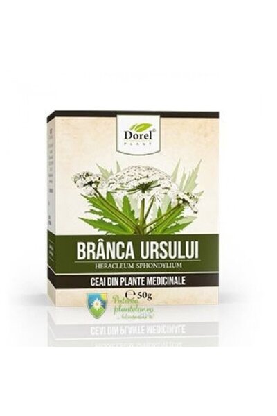 More plants Plantă Gheara Ursului, Plantă Dorel, 50g