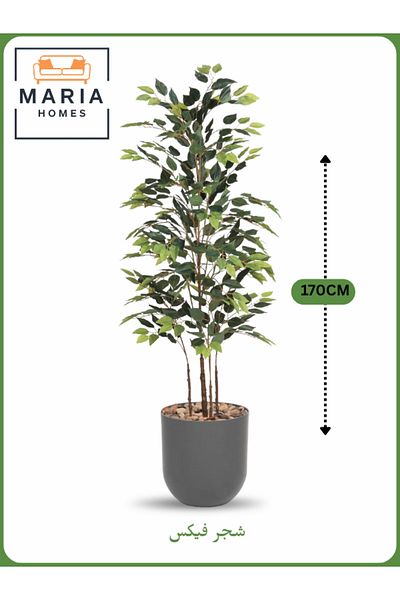 MARIA HOMES Artificial Ficus Tree 170 cm – Decorative Indoor Plant with Gray Pot