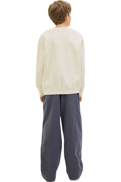 Jack & Jones Bluza JACK & JONES Tricou cu imprimeu tip SN JNR - 12284002-Porumb dulce