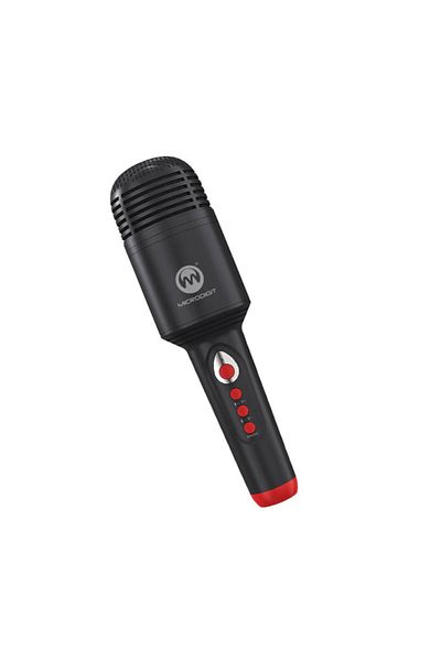 Microdigit Karaoke mike speaker