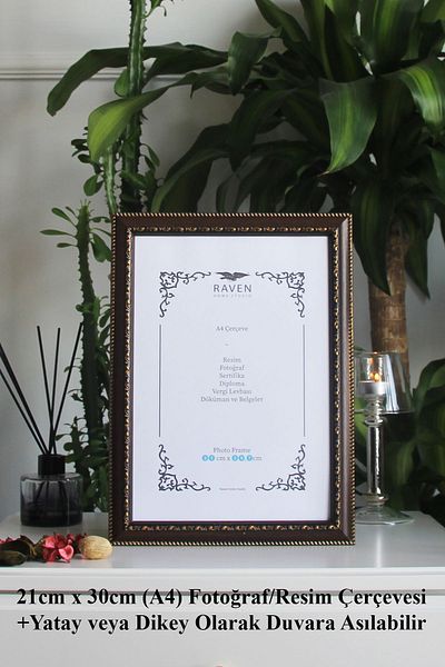 Raven Art Studio Louvre 21cm X 30cm Picture, Photo, Document, Poster, Document Frame. Protected Shatterproof Plexiglass