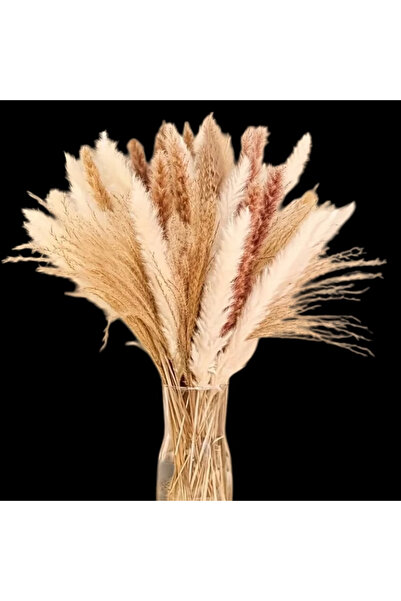 OEM Set Flori decorative, 110 fire iarba Pampas - Bej