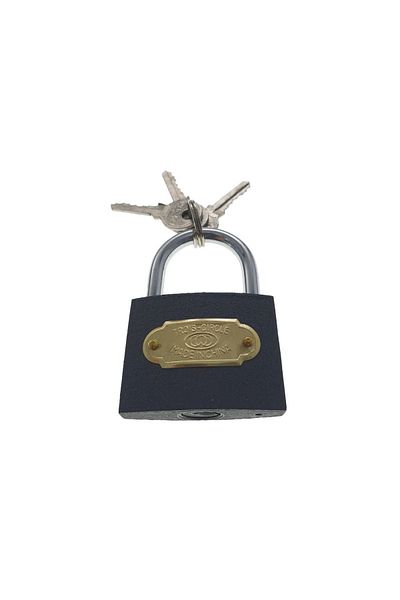OEM Trois Circle LC50 padlock, steel, 50mm, 3 keys, grey