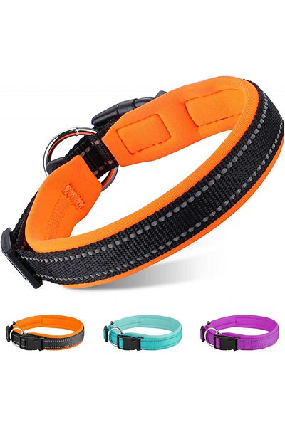 MASBRILL reflective dog leash, neoprene/nylon, orange, S, 35-40 cm