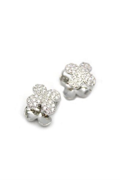 Rasanet Stoned Vc Earrings - Silver