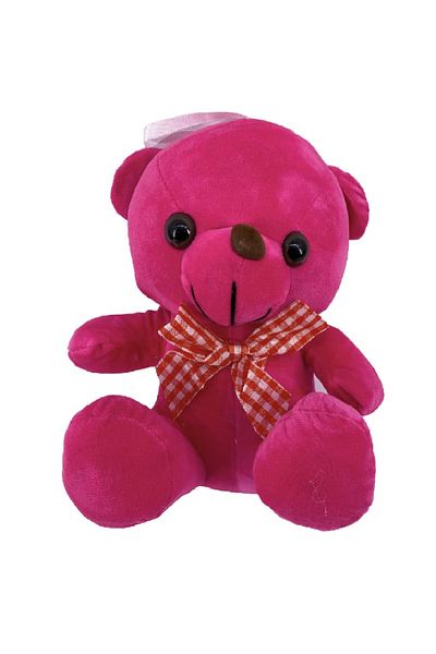 rexa Soft Teddy Bear Plush Toy – Cuddly Stuffed Animal for Kids – 22 x 15 x 17 cm