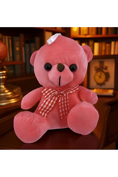 rexa Soft Teddy Bear Plush Toy – Cuddly Stuffed Animal for Kids – 22 x 15 x 17 cm