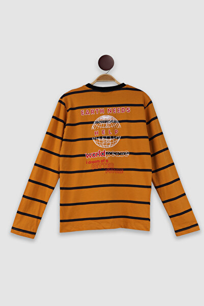 FOR BOYSS Earth Day Striped Tee