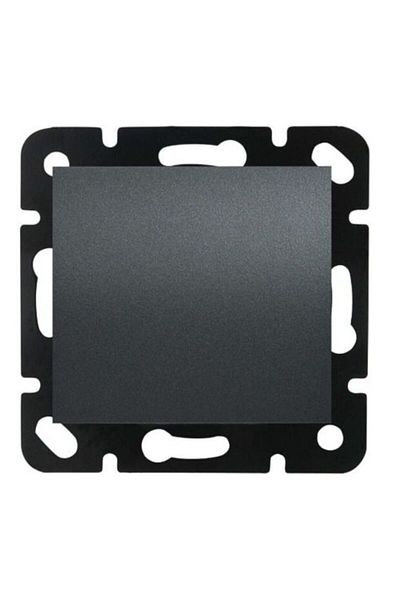 PANASONIC Smoky Cover for Thea Blu Switch