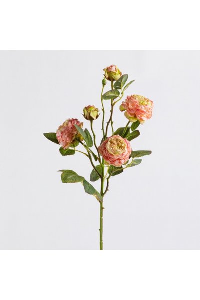 HomeVibes Decorative Peoni Flower