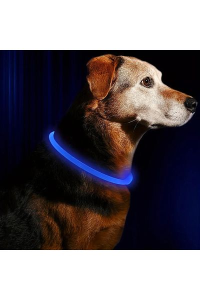 Choice S Blue Pet Dog LED Light Collar Luminous Anti-Lost Dog Collar USB Rechargeable Dog Necklace Collar