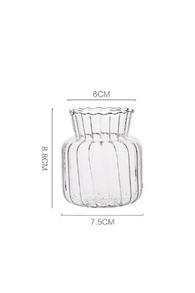 Choice G2065C 1PC Scandinavian Transparent Vase Plant Vase Flower Pot Hydroponic Plant Container Desktop Va