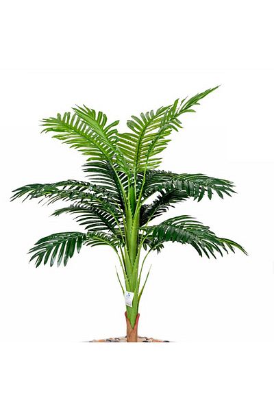 co arma Small palm tree corner plastic pot