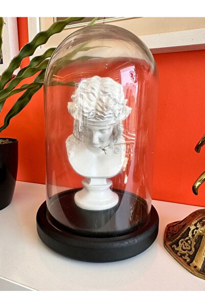 618 CONCEPT ARIADNE CAMLI BÜST DEKOR ARIADNE BUST IN FANUS 14X14X22 CM