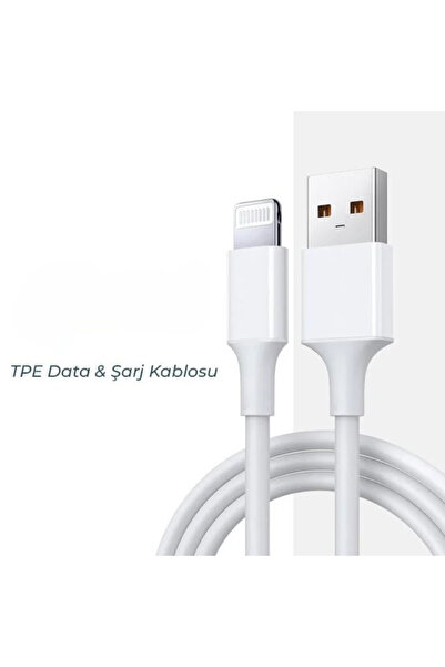 Protonust Yeni Nesil Royal USB Lightning Kablo iPhone ve iPad Uyumlu, Hızlı Ş...