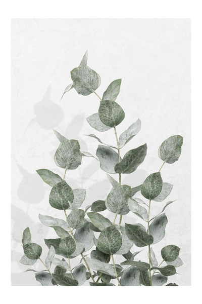 Harikabirev Amazing | Soft Green Leafed Plant Model X1 | Framed Tempered Glass Table Single Vertical