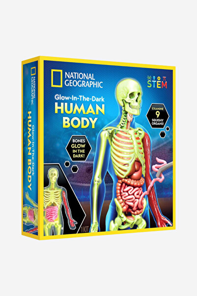 NATIONAL GEOGRAPHIC Karanlıkta Parlayan İnsan Vücudu Modeli, Eğitici Oyuncak 18x10x18 cm