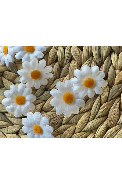 HİMENİSA Daisy Flower 50 τμχ