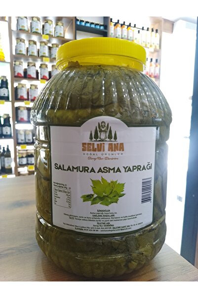 Selvi Ana Doğal Ürünler SALAMURA ASMA YAPRAĞI