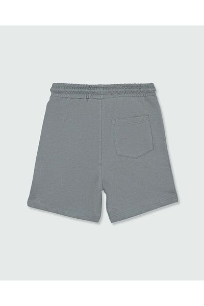 Ovs Boys Shorts Solid Mulled Basil
