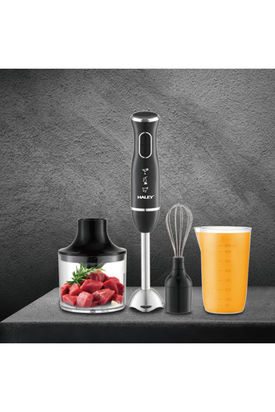HALEY 4-in-1 Electric Hand Blender, 1600W, Stainless Steel, 2 Speeds + Accessories – Chopper