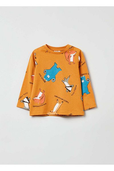 Ovs Long-Sleeved T-Shirt With Print