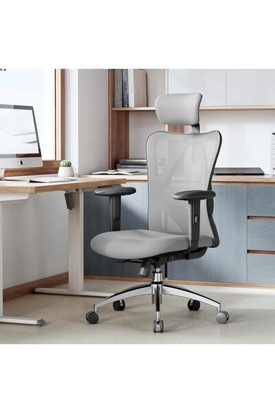 Woodies M18-N106GY Ergonomic Office Chair Computer High Back 2D Armrest Adjustable Headrest Grey
