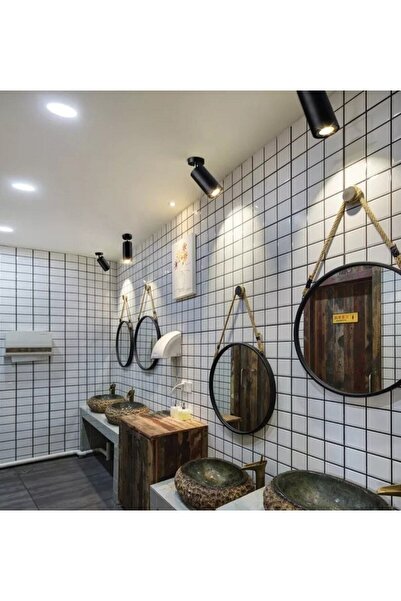 teknotrust Şık Siyah Tekli LED Spot ve Aplik, Gün Işığı Led Ampul ile Parlakl...